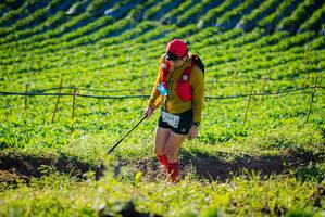 BIB: 
                            <button type="button" onclick="openModal(19160248)" class="btn btn-primary btn-sm float-right btn-popup" data-toggle="modal" data-target=".modal-high-quality">
                        <i class="fas fa-shopping-cart"></i> Add to Cart
                    </button>
                                            <button type="button" onclick="isThisMe(19160248, true)" class="btn btn-success btn-sm float-right btn-popup btn-isme hidden" data-toggle="tooltip" data-placement="bottom" title="นี่คือรูปของคุณใช่ไหม คลิกที่นี่เพื่อเอาเข้าอัลบั้ม">
                        <i class="fas fa-plus"></i> Add to album
                    </button>
                    <button type="button" onclick="isThisMe(19160248, false)" class="btn btn-warning btn-sm float-right btn-popup btn-isnotme hidden">
                        <i class="fas fa-ban"></i> Remove from album
                    </button>